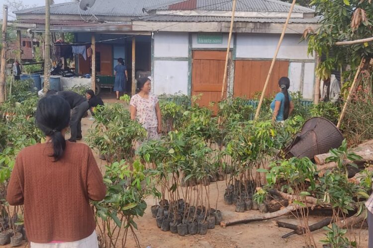 Indigenous Communities In Manipur Embrace Nature-Based Solutions For Sustainable Livelihoods