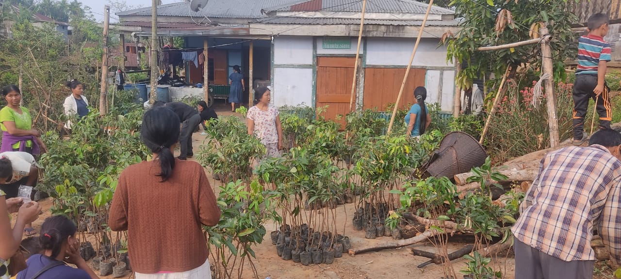 Indigenous Communities in Manipur Embrace Nature-Based Solutions for Sustainable Livelihoods