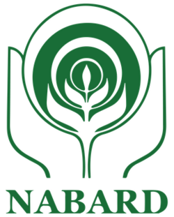 nabard logo deborah roneihlu